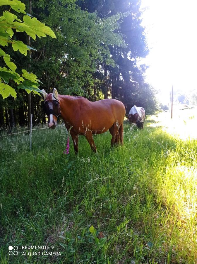 Apartmány u Bečova nad Teplou Bečov nad Teplou Esterno foto