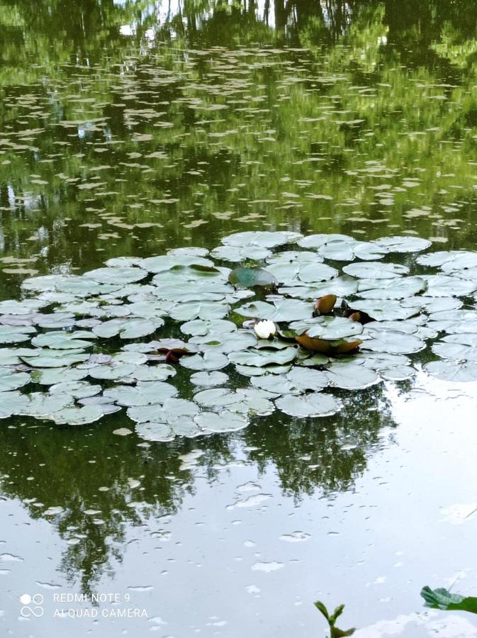 Apartmány u Bečova nad Teplou Bečov nad Teplou Esterno foto